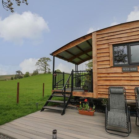 Wild Acre Villa Llangadog Exterior foto