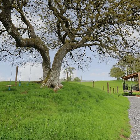 Wild Acre Villa Llangadog Exterior foto